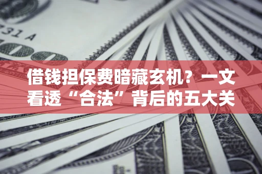 济南借钱担保费暗藏玄机？一文看透“合法”背后的五大关键陷阱