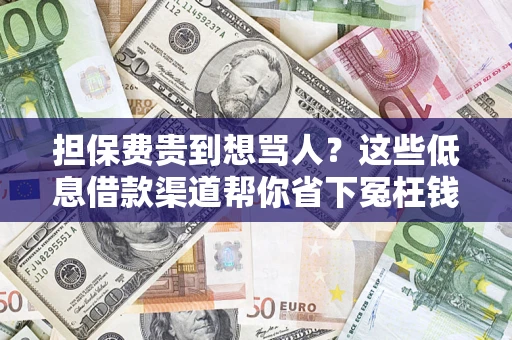 济南担保费贵到想骂人？这些低息借款渠道帮你省下冤枉钱