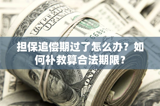 济南担保追偿期过了怎么办？如何补救算合法期限？
